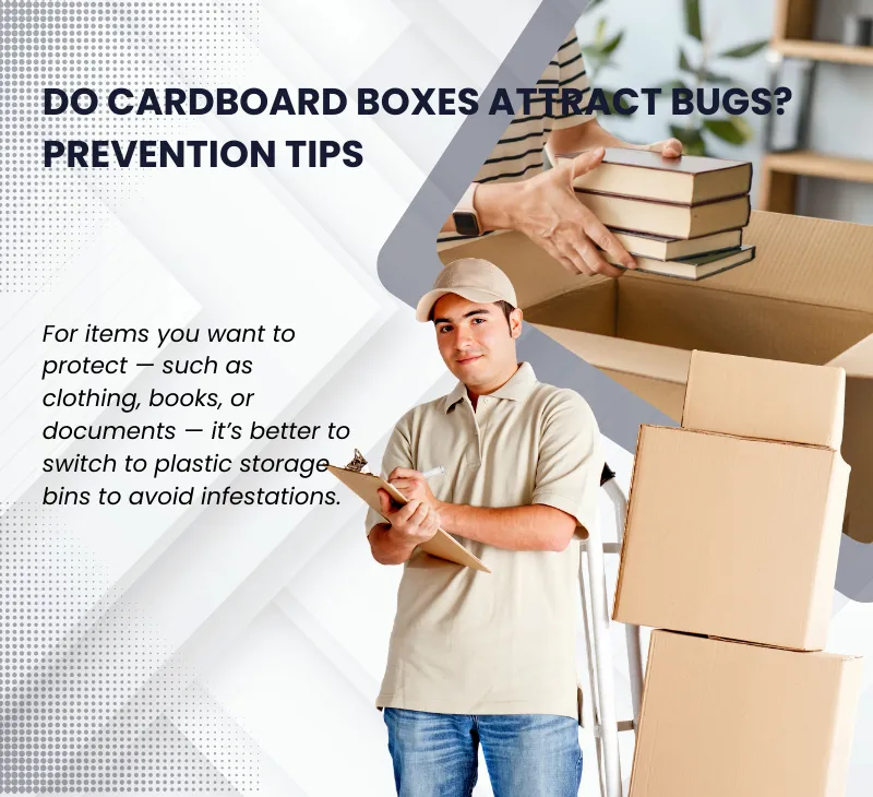 Do cardboard boxes hold or attract bugs?